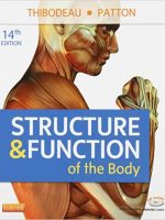 Structure And Function