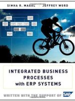 Integrated Business Processes With ERP Systems